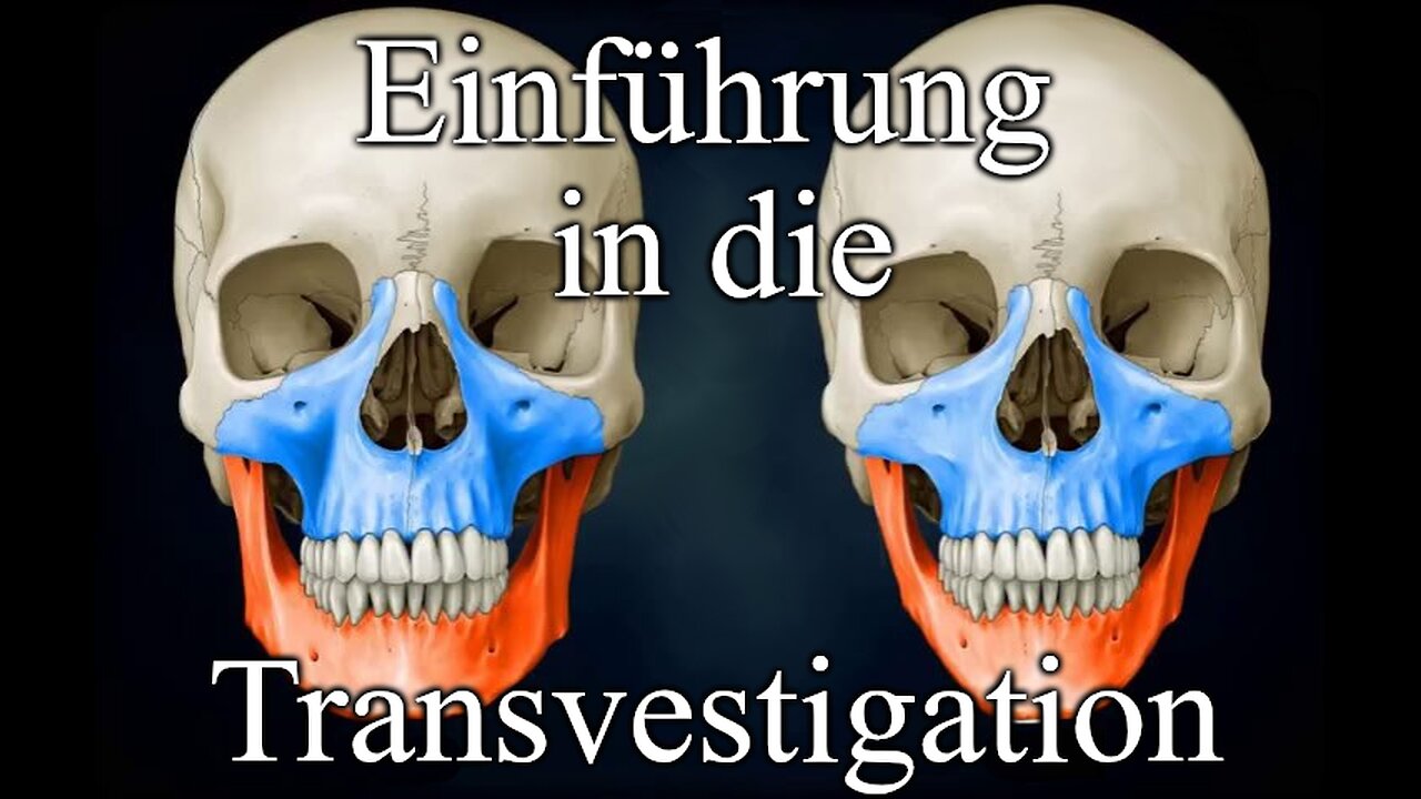 Grundlagen der Transvestigation