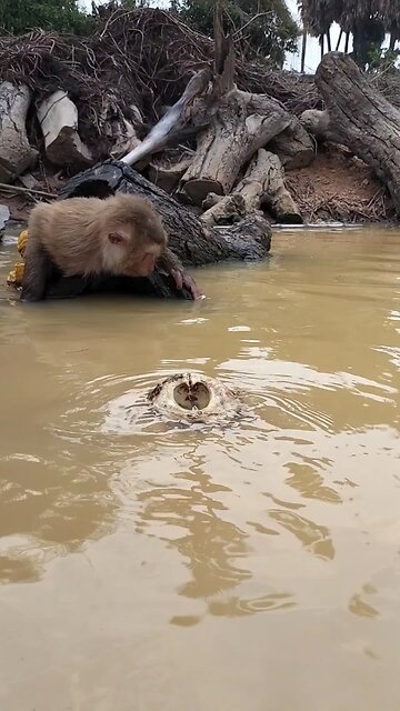 Awesome Video Best SokYaa, OG, Pao & Mom Are Famous Around The World #shorts #anime #trend #edit