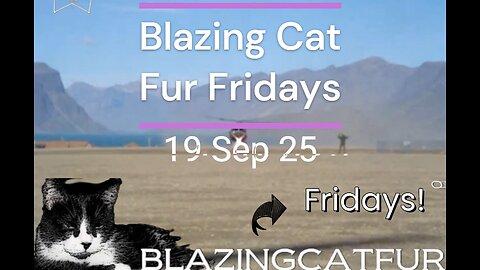 Blazing Cat Fur Fridays