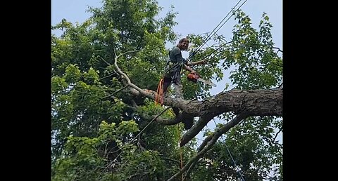 Cleaning up some storm damaged with @MorganTreeman on instagram