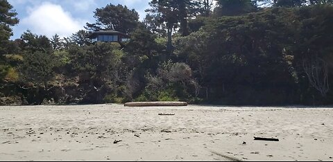 Take a short hike on the Babcock trail to Hare Creek Beach.