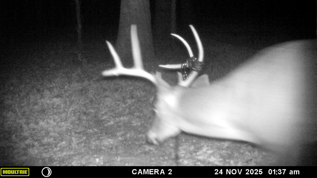 Bullet Moulds, General BS While Driving