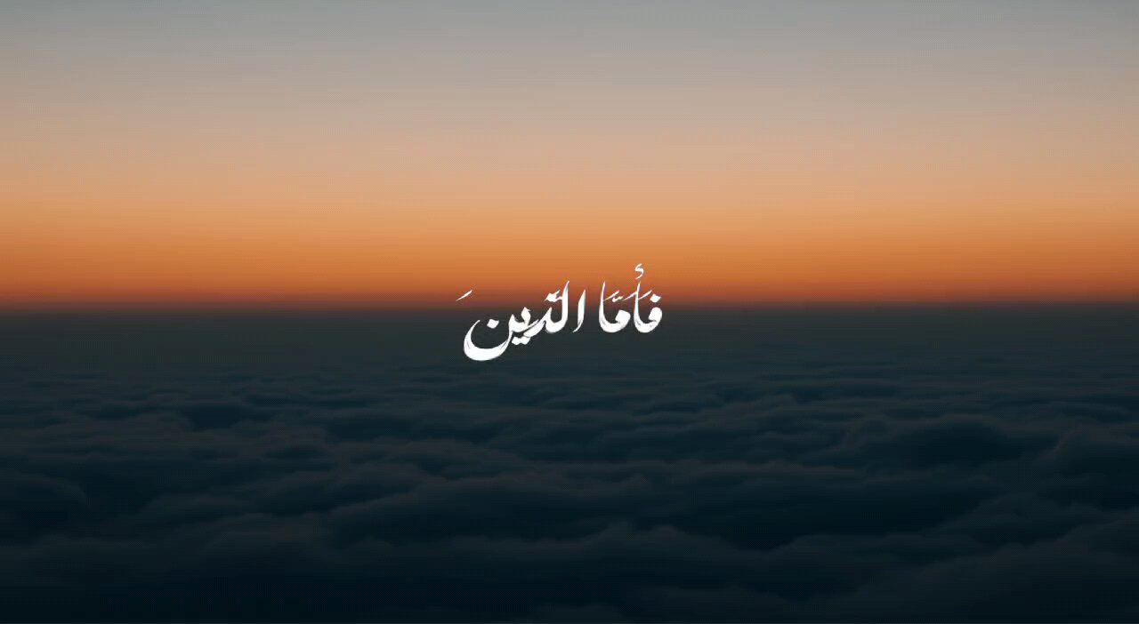 #القرآن_الكريم
