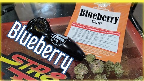 Is Blueberry from STR8FIRE Really That Good?