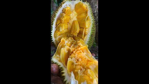 Satisfying fruit peeling #fruits 🌴🌴🌴