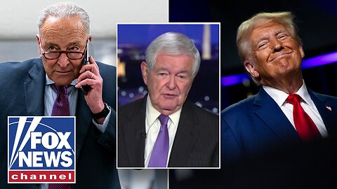 'NO SOLUTIONS!': Gingrich shares evidence of Dems' 'gloom' to Trump's BOOM
