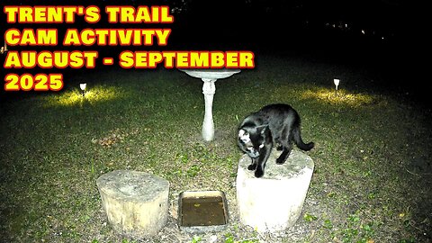 Trent's Trail Cam Activity - August Thru September 2025