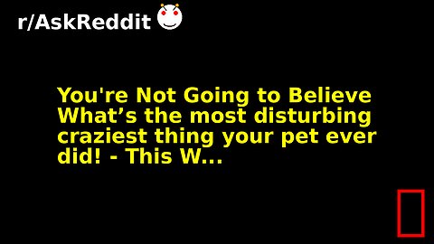 You're Not Going to Believe What’s the most disturbing craziest thing your pet ever did! - This W...
