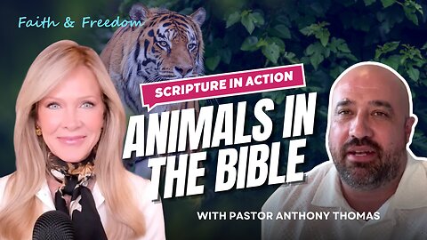 What the Bible Says About Animals