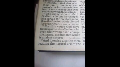 Romans 1:24-32
