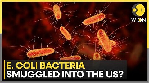Chinese Researcher Charged With Smuggling E. coli Into US, FBI Says ~ WION 12.23.25