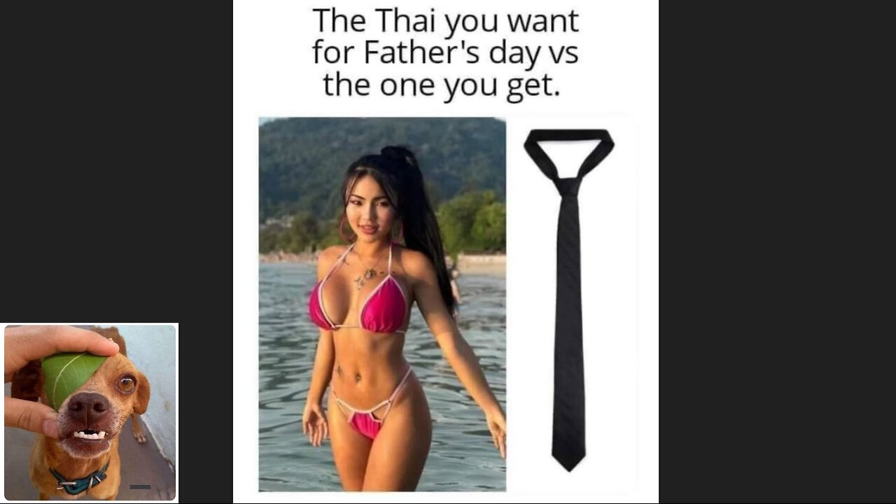 Memes That Will 99.0284% Make You Laugh. (e508)