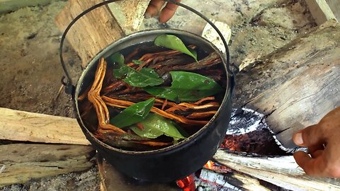 The Sacred Journey~10 Truths of Ayahuasca