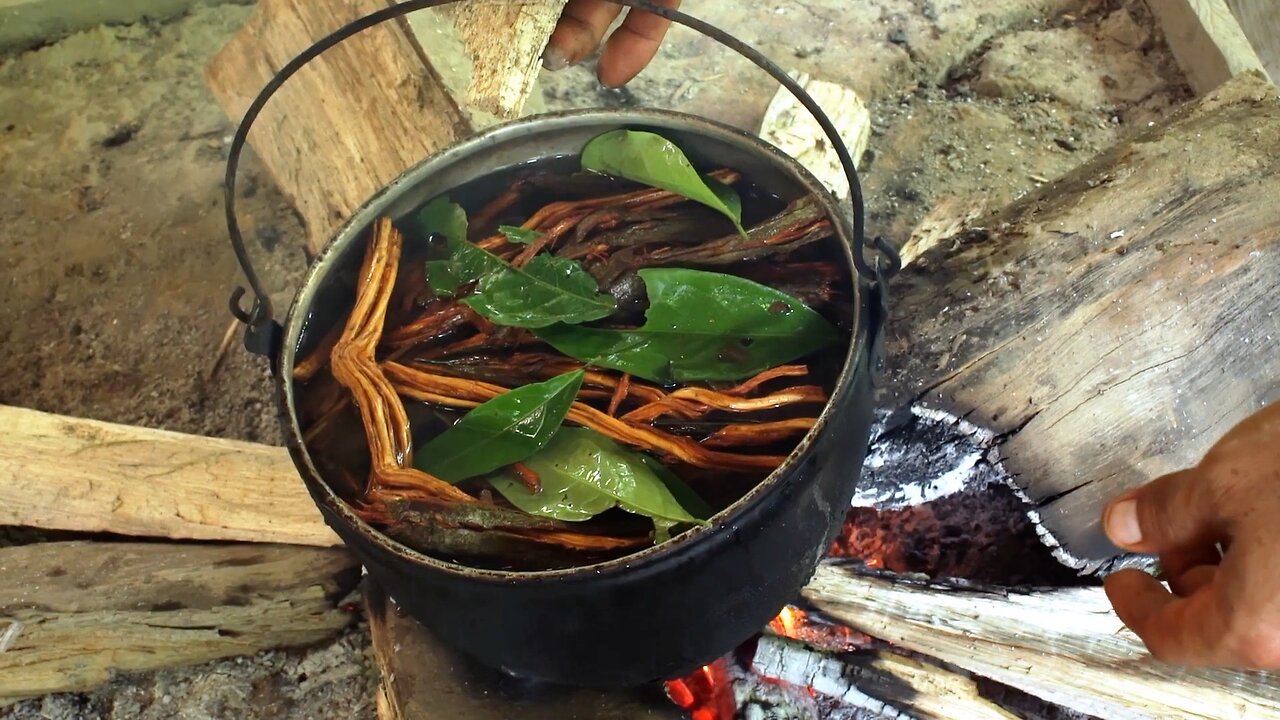 The Sacred Journey~10 Truths of Ayahuasca