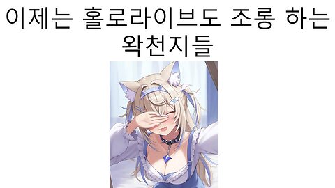 이제는 홀로라이브 팬덤에게도 시비 거는 왁천지들