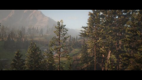 Red Dead Redemption 2 - The New Beginning, The Wheel, Part 1