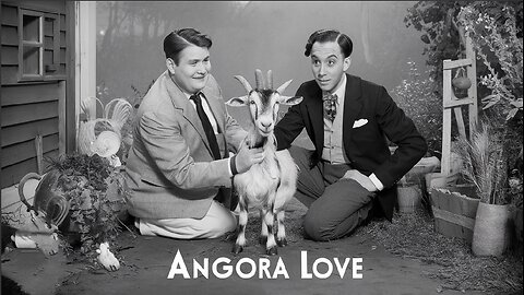 ANGORA LOVE (1929) Stan Laurel, Oliver Hard | Comedy, Short | Old Hollywood