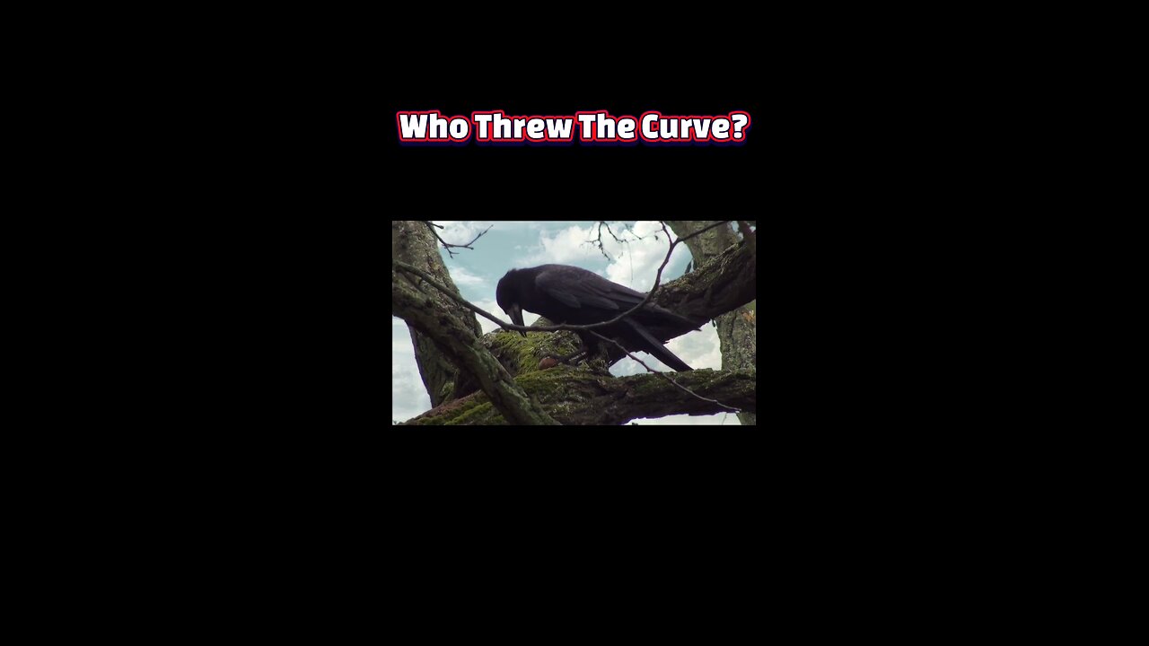 Crows Crack Geometry: Brainier Than We Thought!