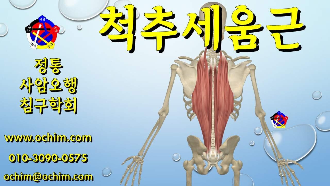 척주세움근 통증 치료 후기 - 사암오행침, 사암침법, 오행침, 정통사암침
