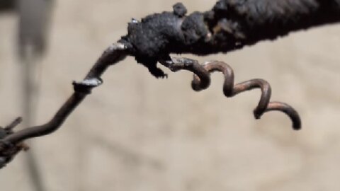 Examination of a ~100 year-old “Western Union” splice