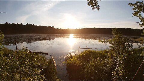 Pondside Camping