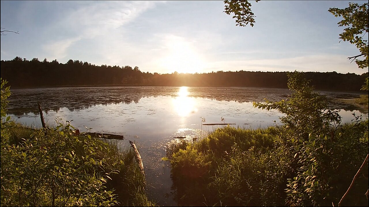 Pondside Camping
