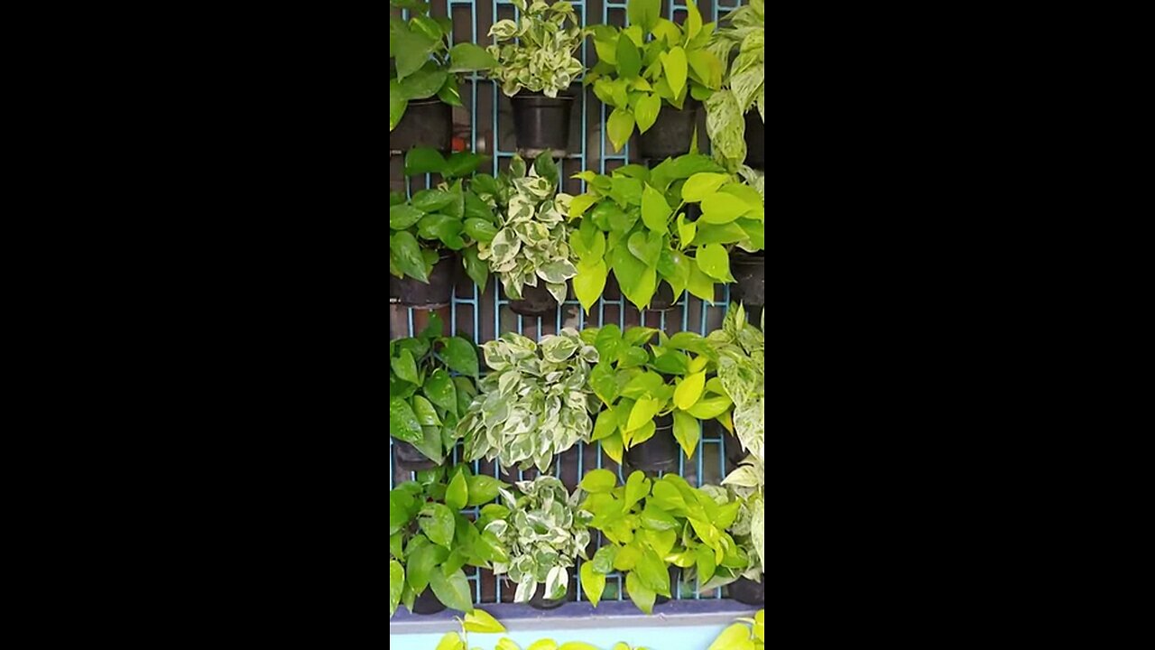11 - vertical planter wall