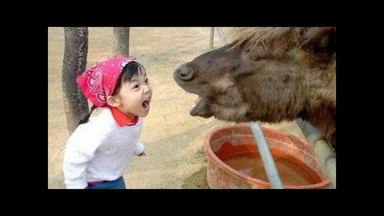 Super funny BABY & TODDLER & KID videos #19 - Funny and cute compilation - Watch and laugh!