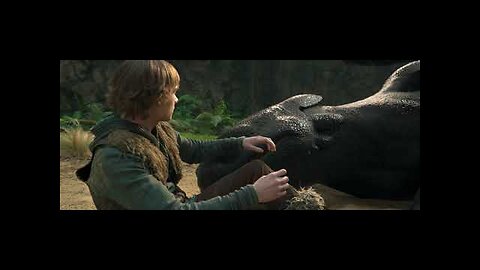 How To Train Your Dragon | All About Toothless