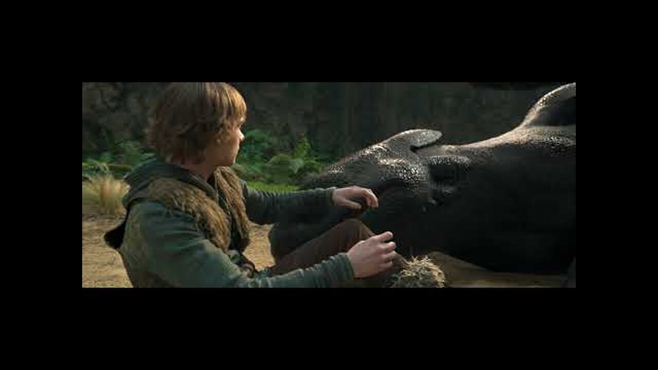 How To Train Your Dragon | All About Toothless