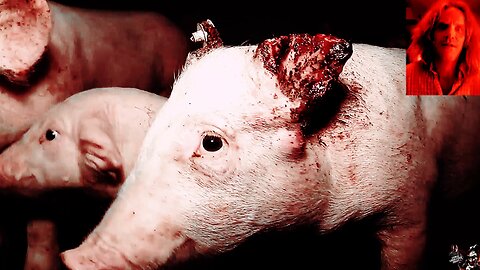 The Only Value Of Merit (Feat Inmendham)