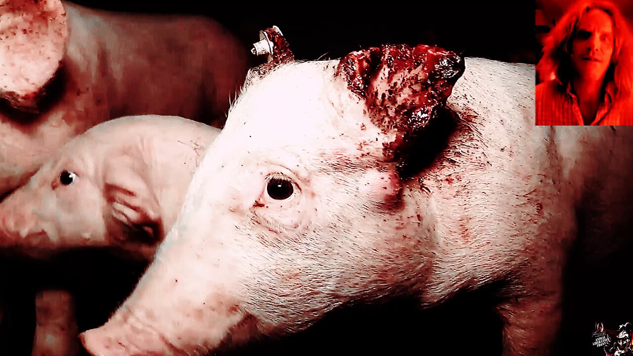 The Only Value Of Merit (Feat Inmendham)