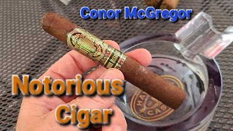 Conor McGregor - Notorious Cigar
