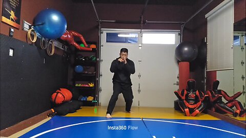 WTD Kickstance Combination 7, Advancing Set (Rank 2)