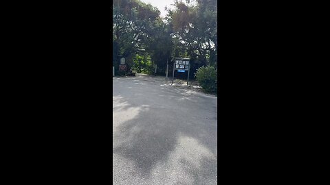 Livestream Replay | Nathaniel P. Reed Hobe Sound National Wildlife Refuge!