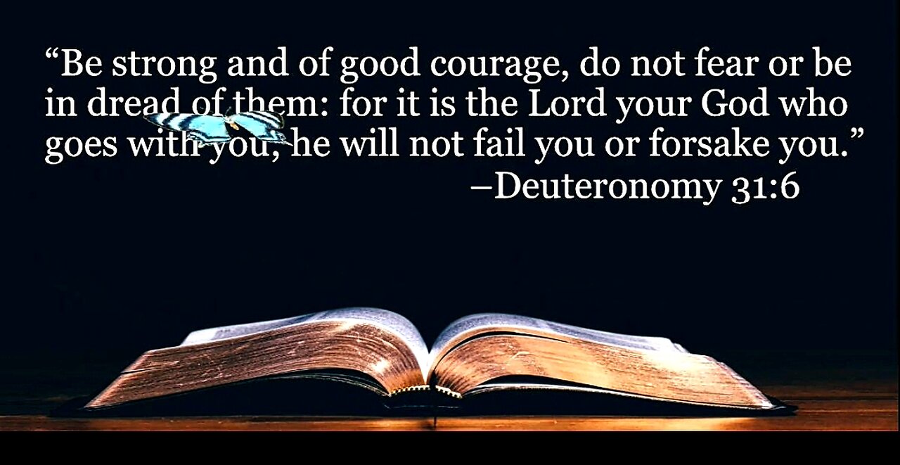 THE SHARED LEGACY OF BELIEVERS - DAILY DEVOTIONAL ❤️