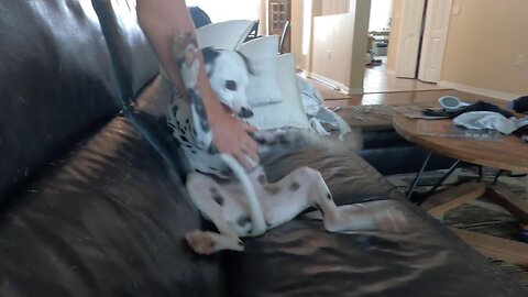 Luna Messing About with Her Big Brother