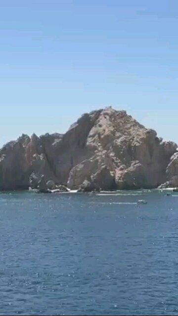 Embrace your setbacks