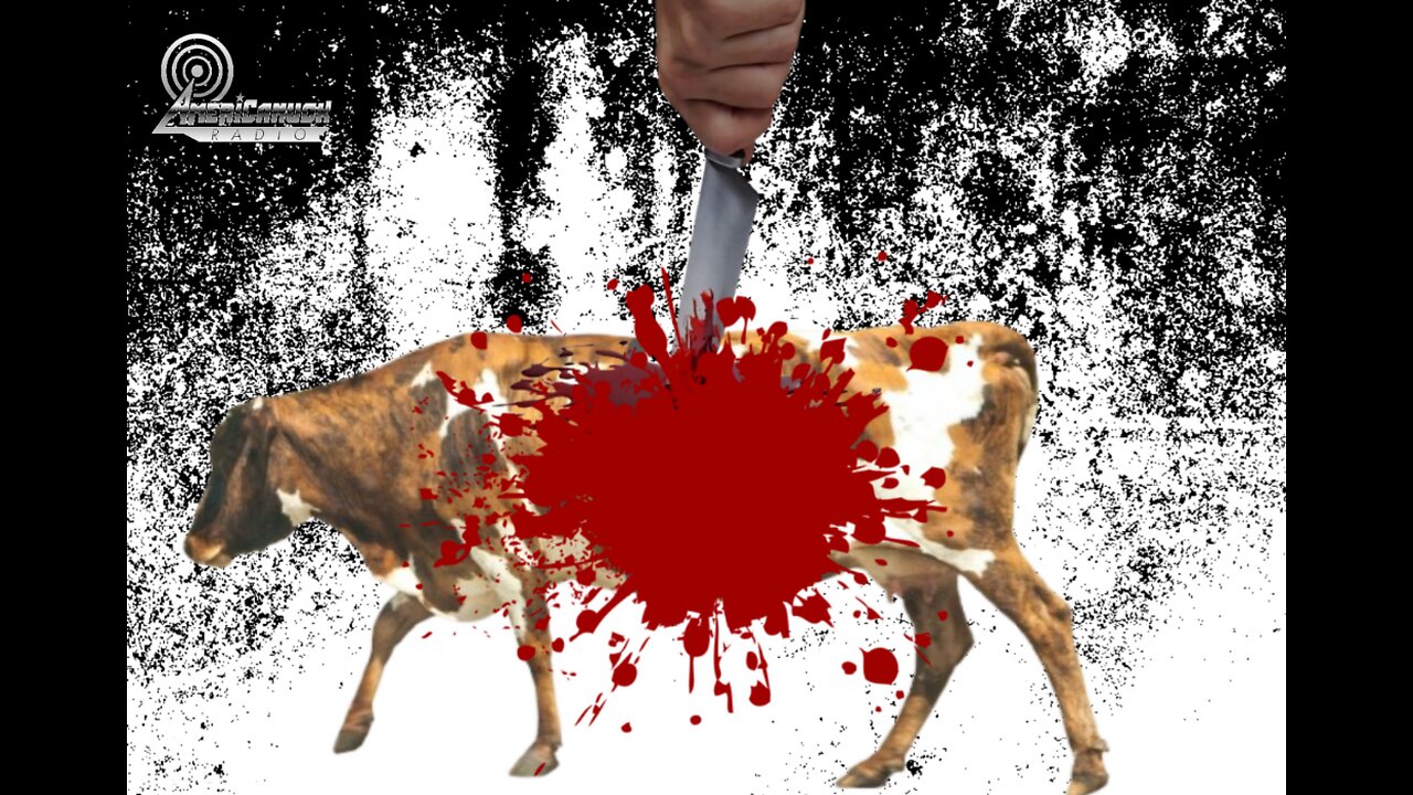 Understanding Abraham And The Blood Covenant