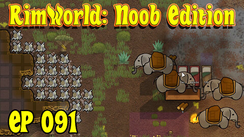 Hope Prepares for What's Next... | RimWorld Noob [EP091]