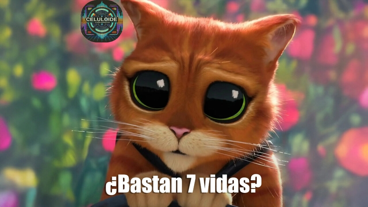 CLOP E221 Bastan 7 Vidas #videopodcast #gatoconbotas #CLOP