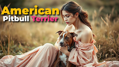 You Need to Know About the American Pitbull Terrier #pitbull #americandog #petcare #bestdog #puppy 🐶