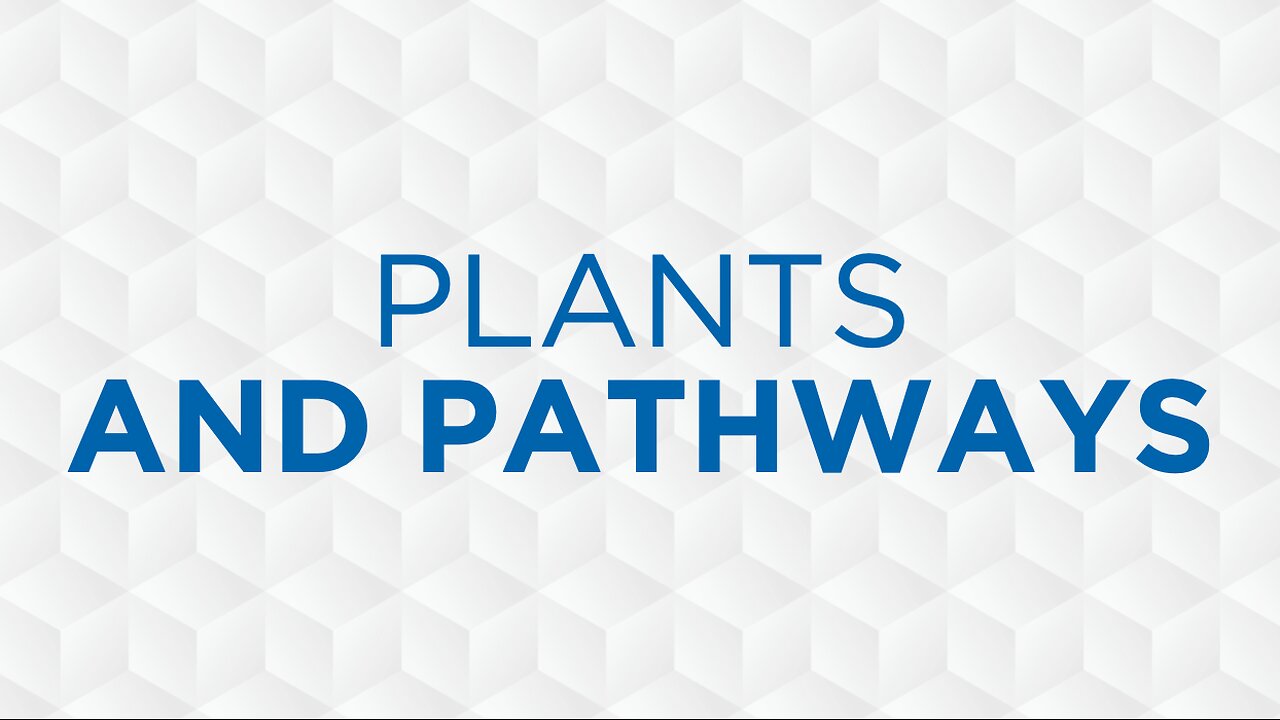 10-26-25 - Plants And Pathways - Joel McIntyre