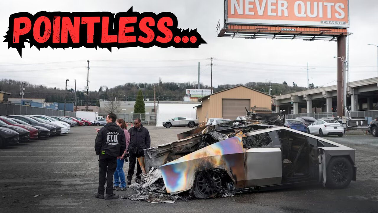 You're a Loser If You're Out Here Defacing Peoples Tesla