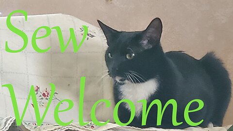 Sew Welcome to Wednesday || Stitch & B*