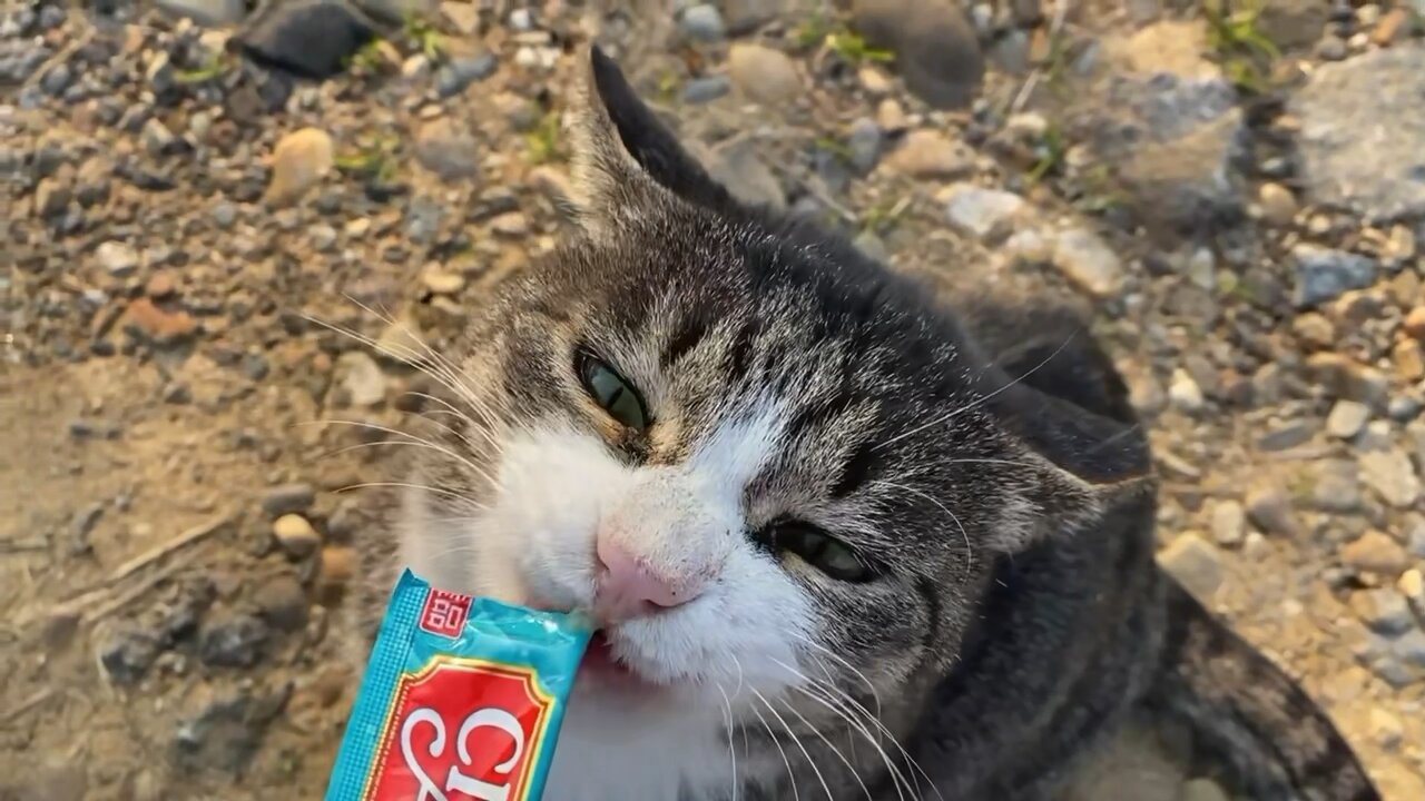 Thank you for your snacks.