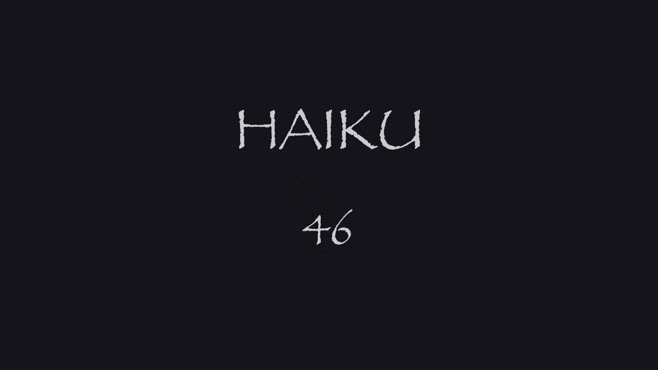 HAIKU 46