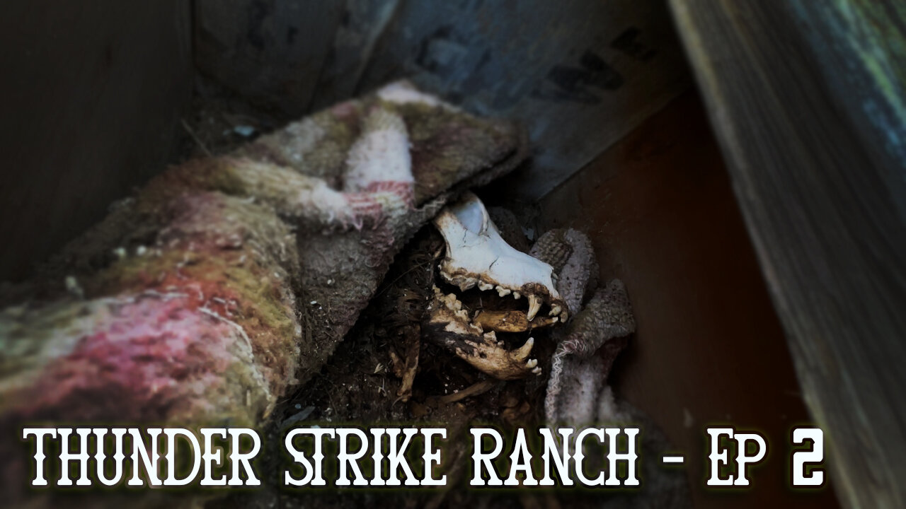 SHOCKING Discovery on the Path of the Skinwalker | Thunder Strike Ranch | Episode 2