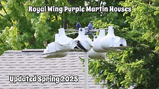 Royal Wing Purple Martin House