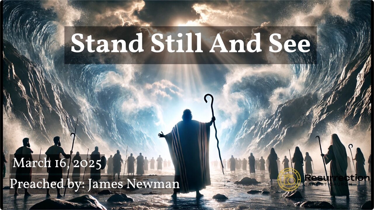 Stand Still And See